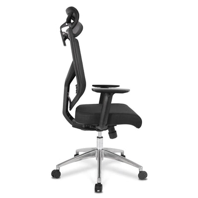 Silla de Oficina Coast C Premium