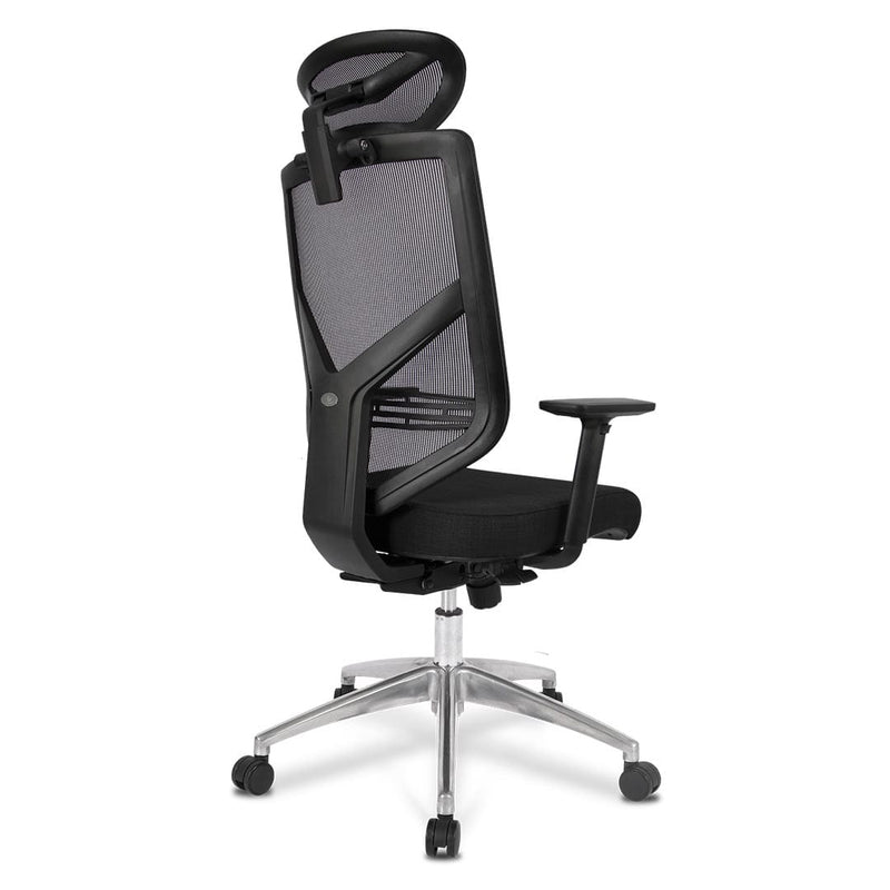 Silla de Oficina Coast C Premium