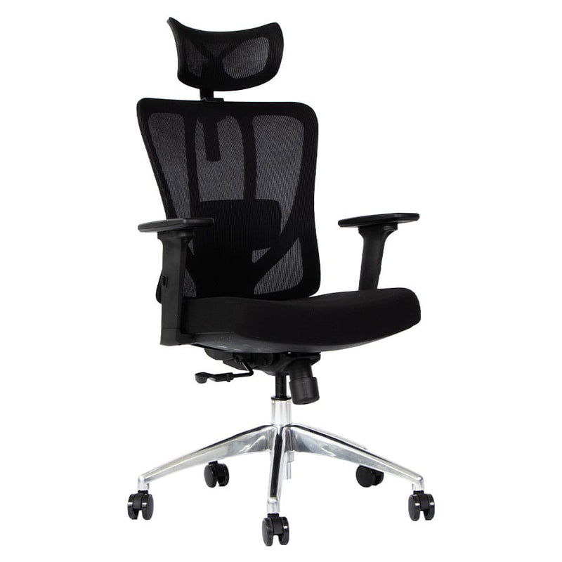 Silla de Oficina Delphi 9 Plus 3D