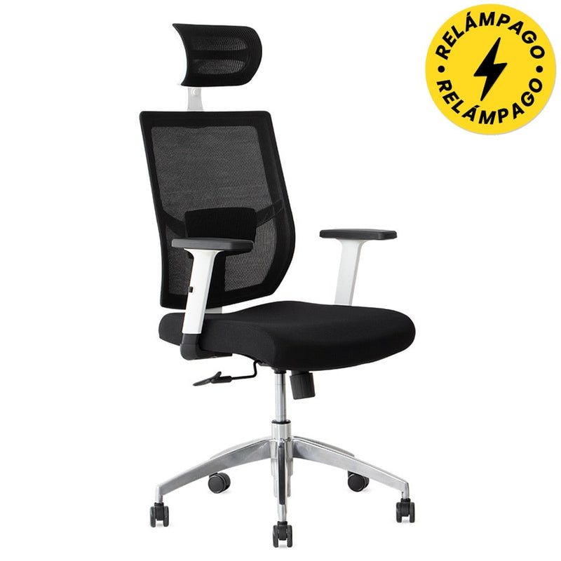 Silla de Oficina Delphi A18BW Plus