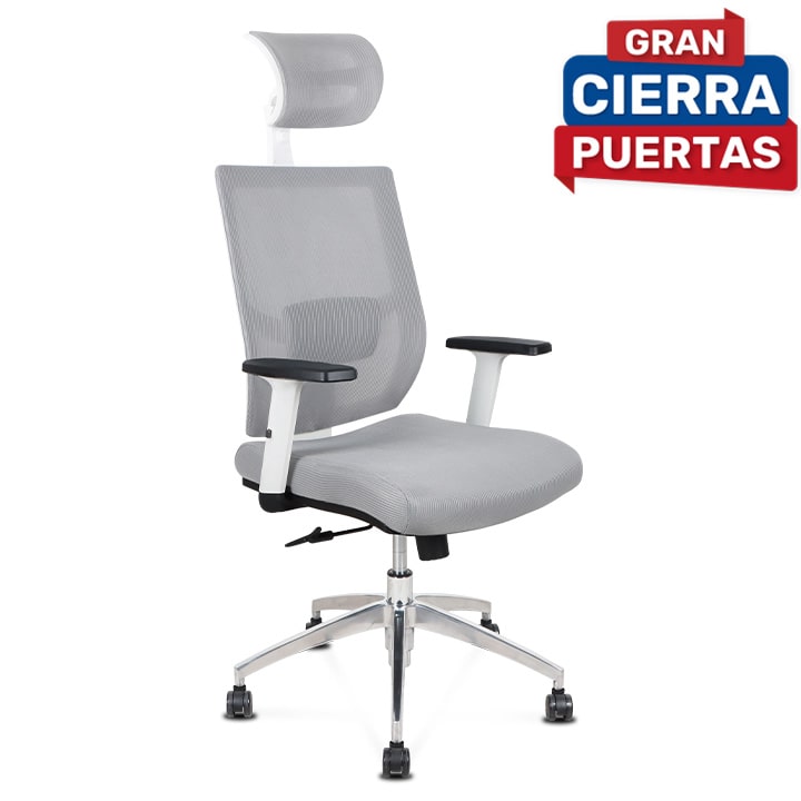 Silla de Oficina Delphi A18W Plus