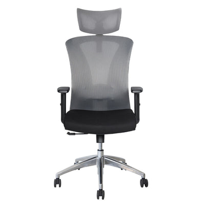 Silla de Oficina Delphi A1G Plus
