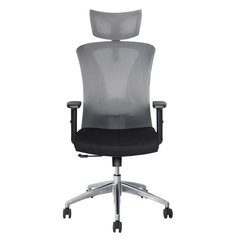 Silla de Oficina Delphi A1G Plus