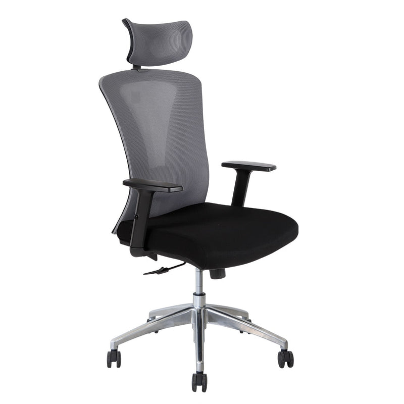 Silla de Oficina Delphi A1G Plus