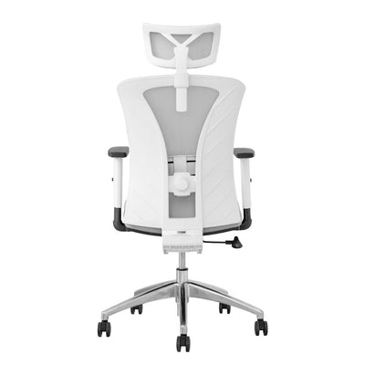 Silla de Oficina Delphi A1GW Plus