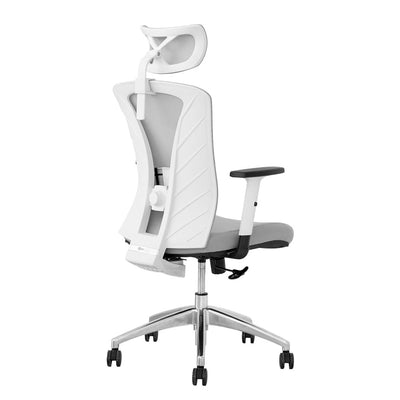 Silla de Oficina Delphi A1GW Plus