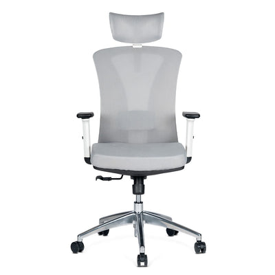 Silla de Oficina Delphi AGW Plus