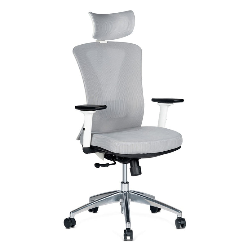 Silla de Oficina Delphi AGW Plus