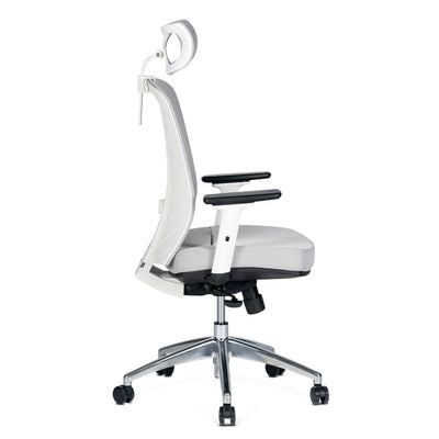 Silla de Oficina Delphi AGW Plus