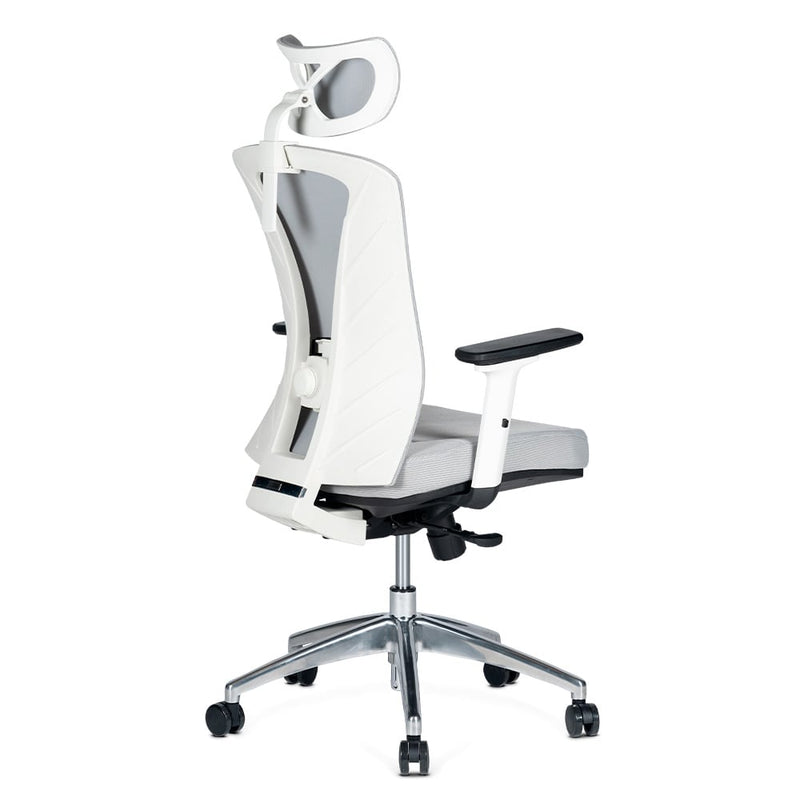 Silla de Oficina Delphi AGW Plus