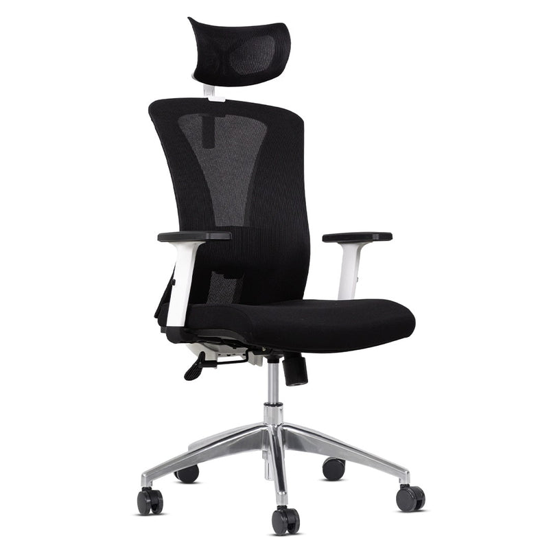 Silla de Oficina Delphi A1GW Plus