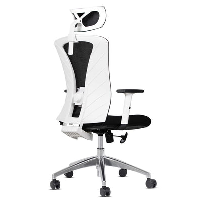 Silla de Oficina Delphi A1GW Plus