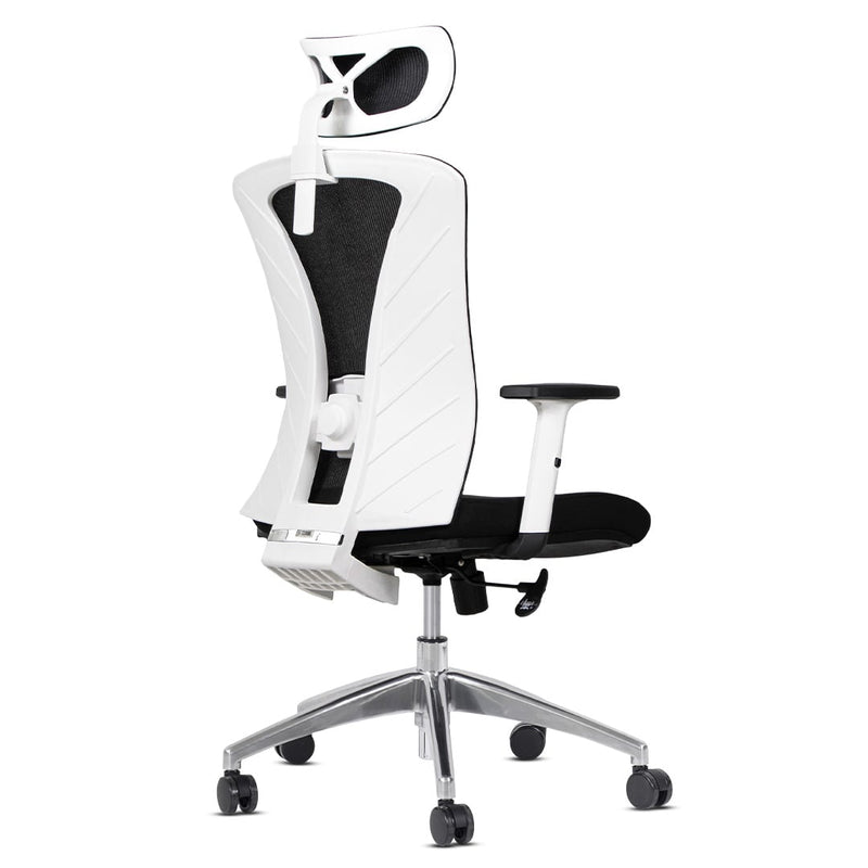 Silla de Oficina Delphi A1GW Plus