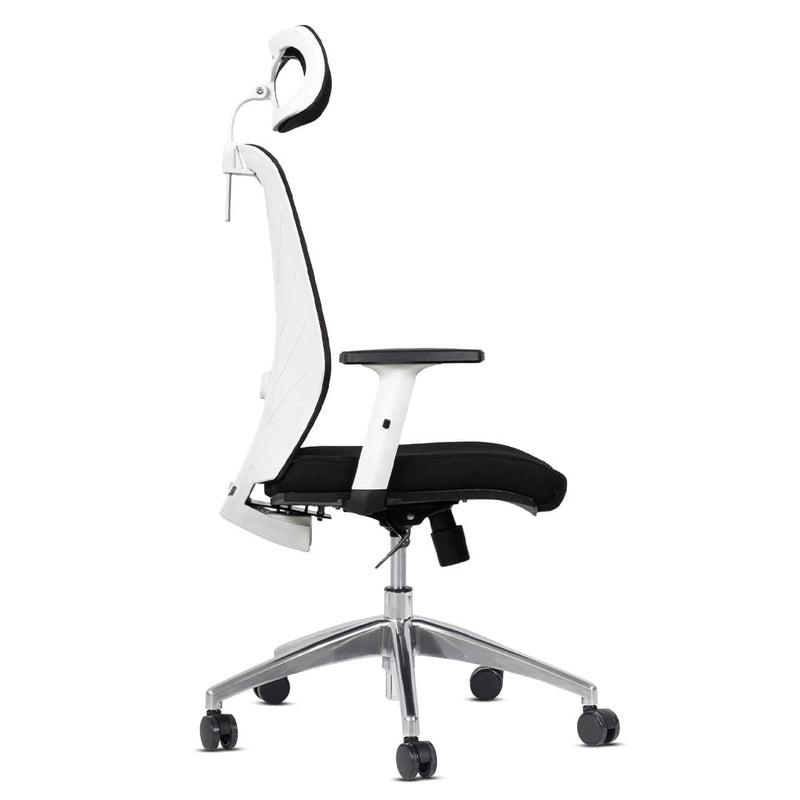 Silla de Oficina Delphi A1GW Plus