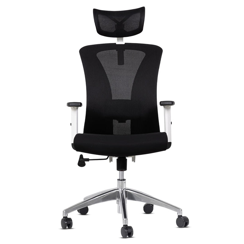 Silla de Oficina Delphi A1GW Plus