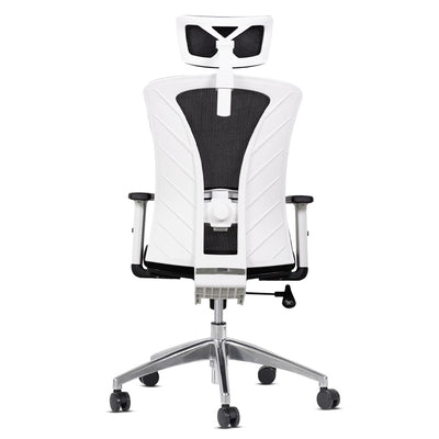 Silla de Oficina Delphi A1GW Plus