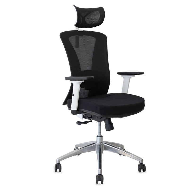 Silla de Oficina Delphi AGW Plus