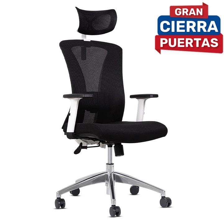 Silla de Oficina Delphi A1GW Plus