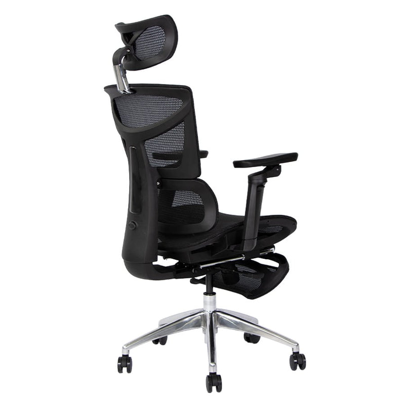 Silla de Oficina Delphi 10 Plus
