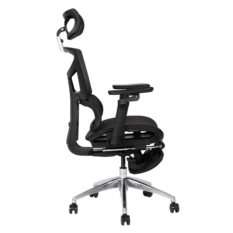Silla de Oficina Delphi 10 Plus