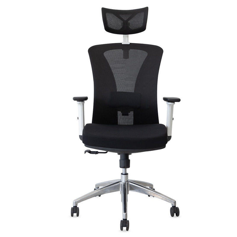 Silla de Oficina Delphi AGW Plus