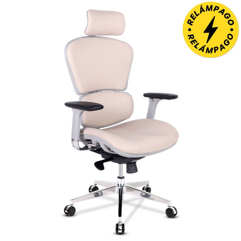 Silla de Oficina Future 1C