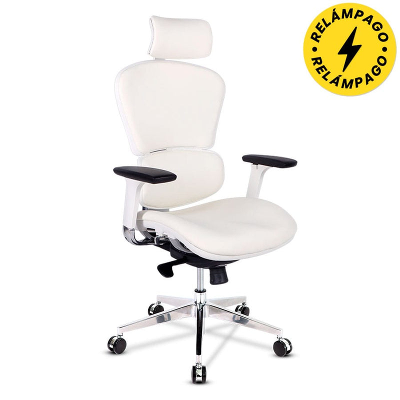 Silla de Oficina Future 1C