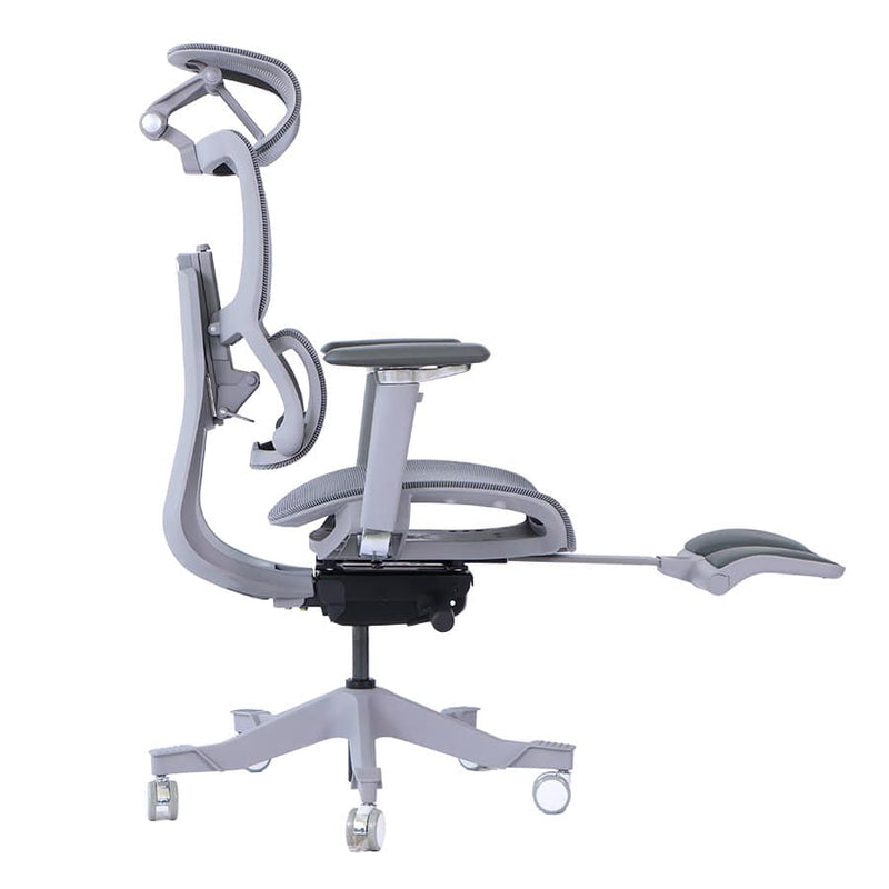 Silla Premium Spectrum 2AG